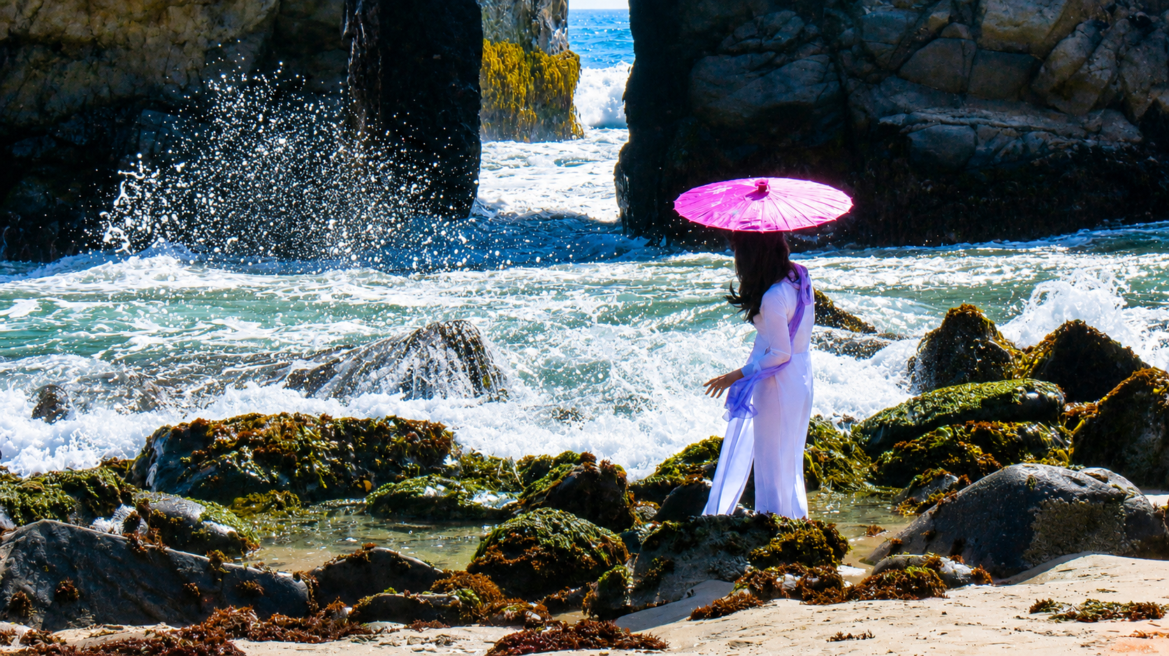 BigSur-Monterey (9)